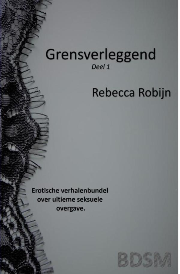 Omslag van Grensverleggend