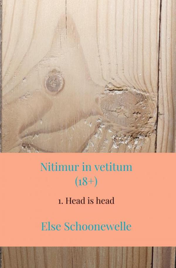 Omslag van Nitimur in vetitum
