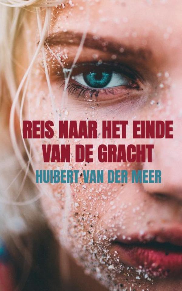 Omslag van Reis naar het einde van de gracht