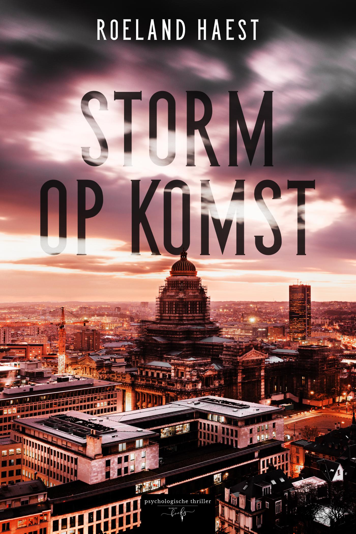 Omslag van Storm op komst