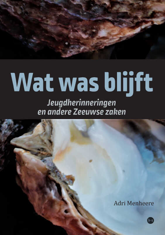 Omslag van Wat was blijft