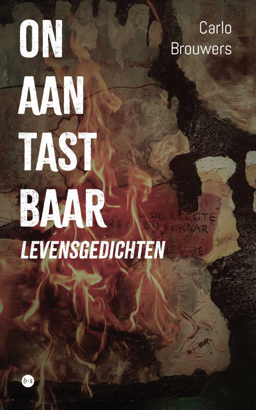 Omslag van 'Onaantastbaar'