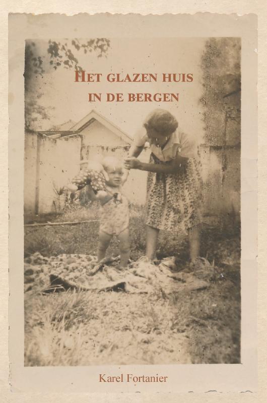 Omslag van Het Glazen Huis in de Bergen