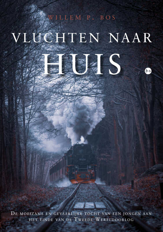 Omslag van Vluchten naar huis