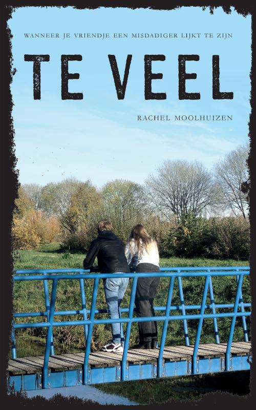 Omslag van Te veel