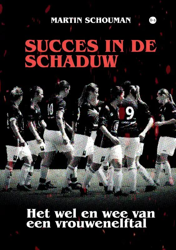 Omslag van Succes in de schaduw