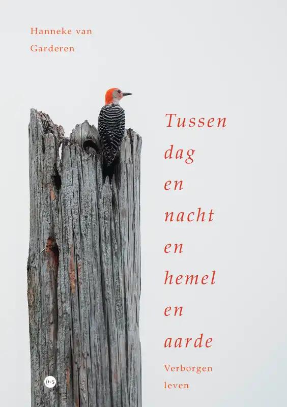 Omslag van Tussen dag en nacht en hemel en aarde