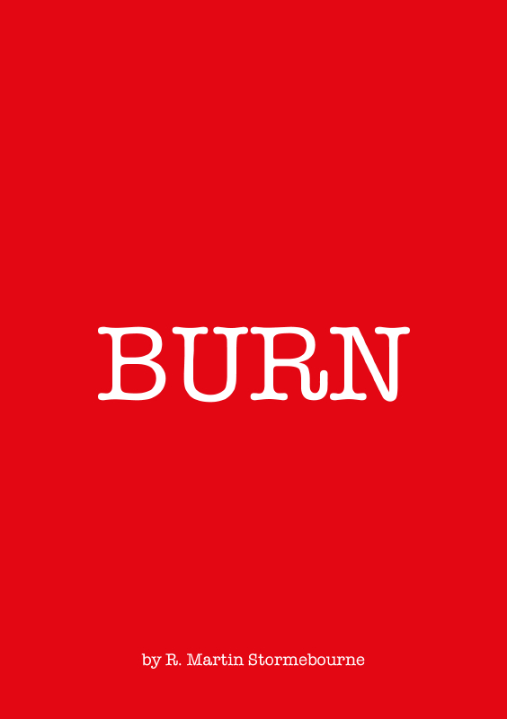Omslag van Burn