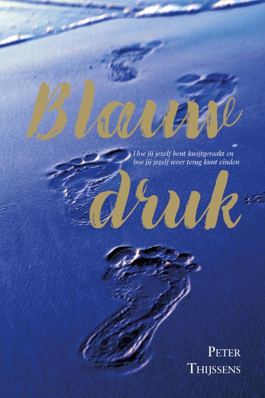 Omslag van Blauwdruk