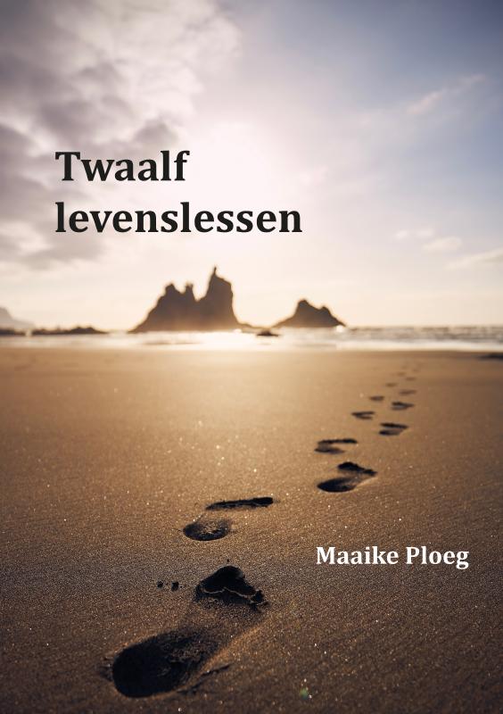 Omslag van Twaalf levenslessen