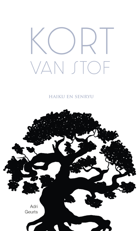 Omslag van Kort van stof
