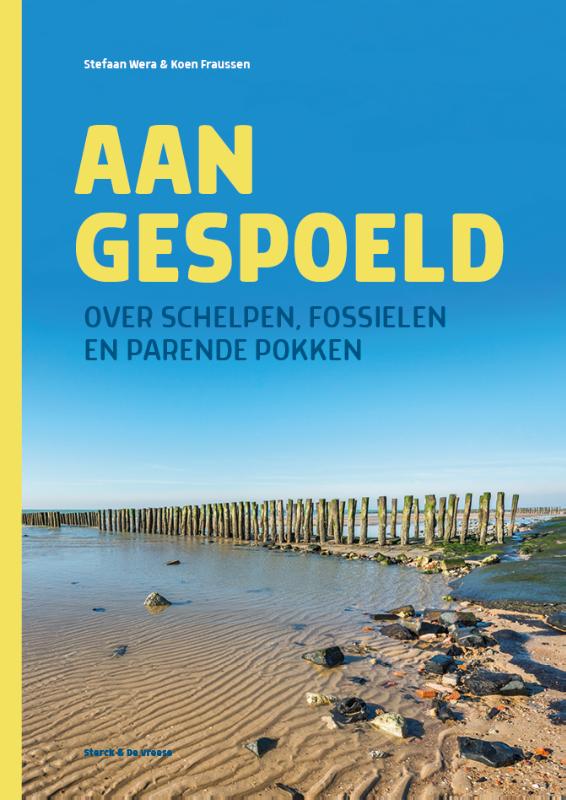 Omslag van Aangespoeld