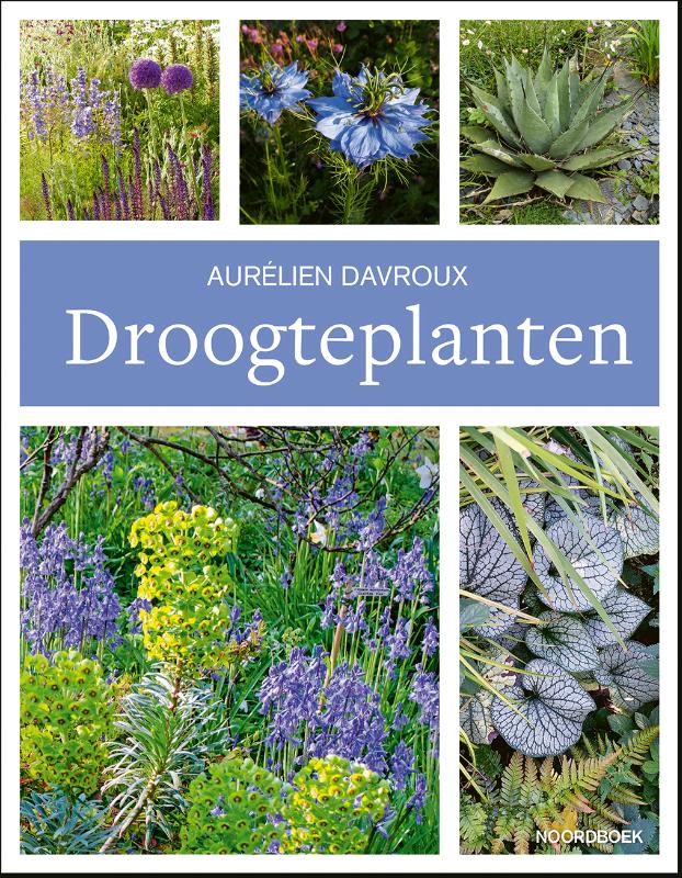 Omslag van Droogteplanten