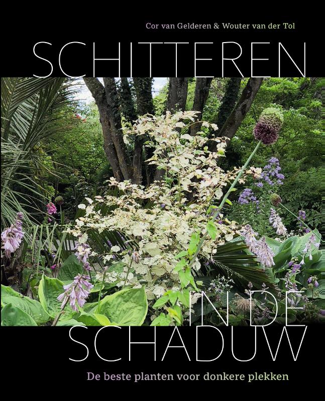 Omslag van Schitteren in de schaduw