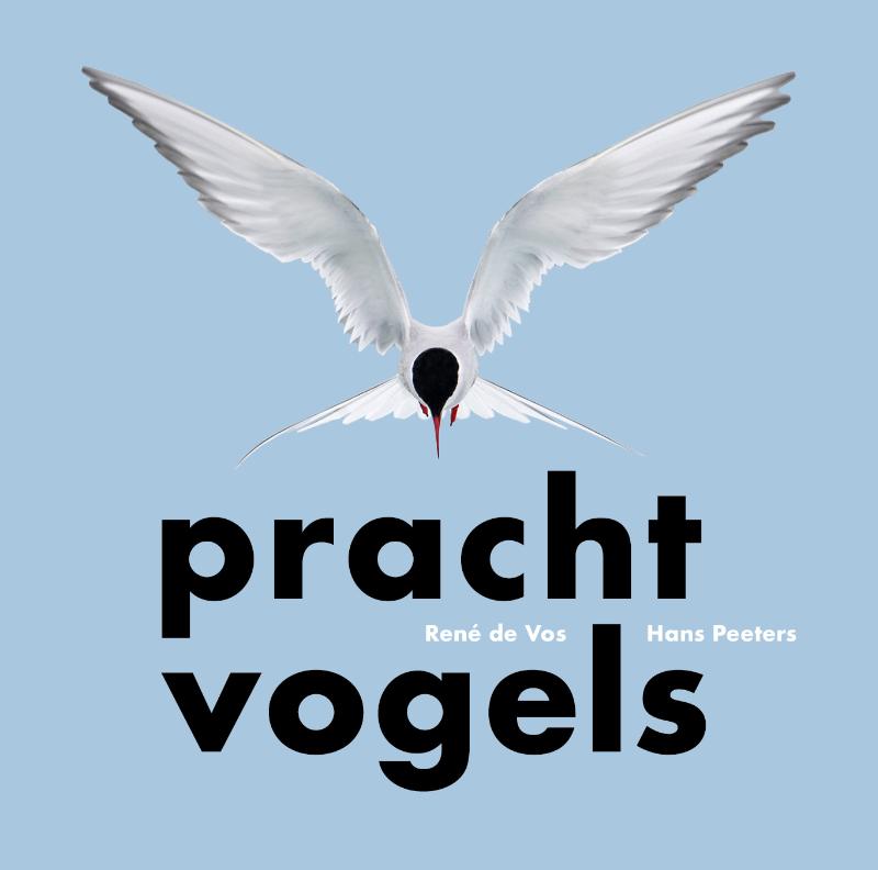 Omslag van Prachtvogels