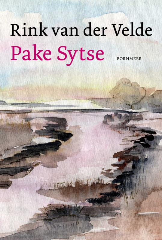 Omslag van Pake Sytse