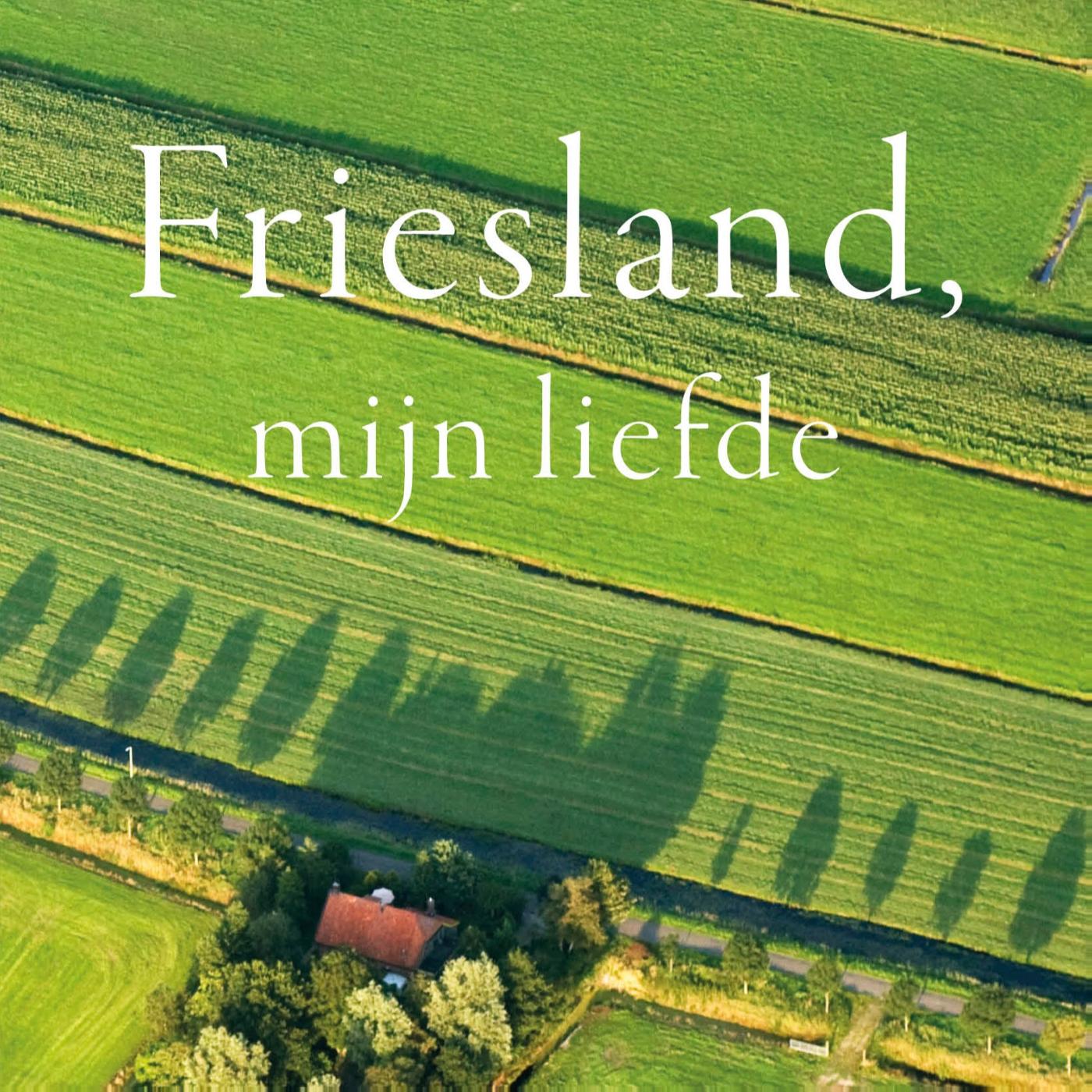Omslag van Friesland, mijn liefde