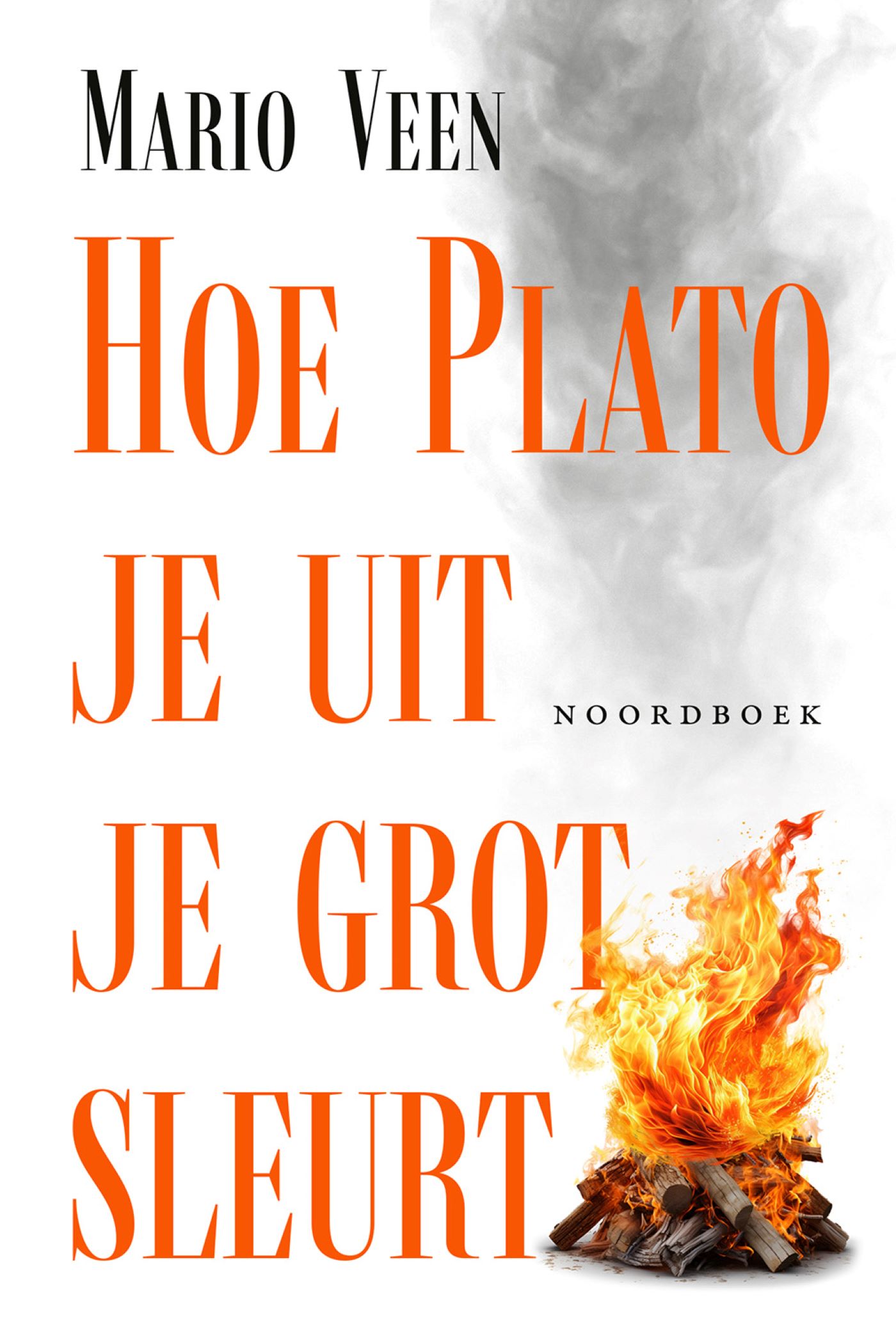 Omslag van Hoe Plato je uit je grot sleurt