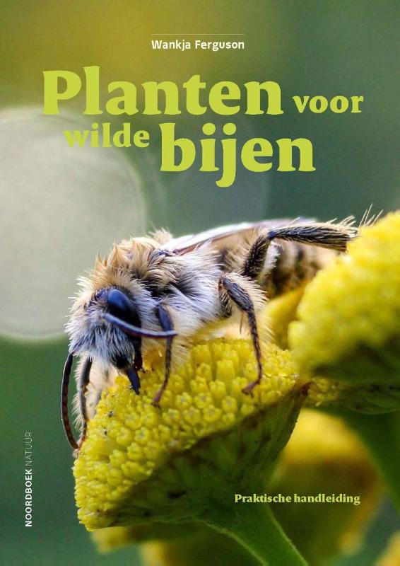 Omslag van Planten voor wilde bijen