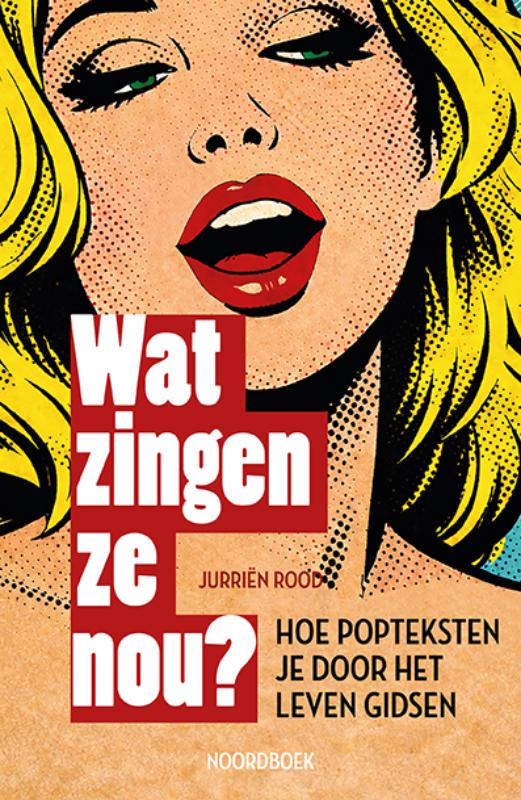 Omslag van Wat zingen ze nou?