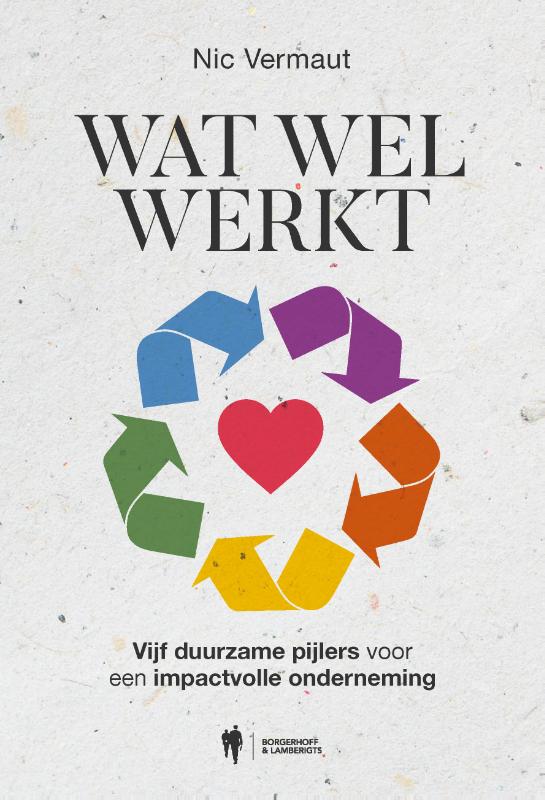 Omslag van Wat wel werkt