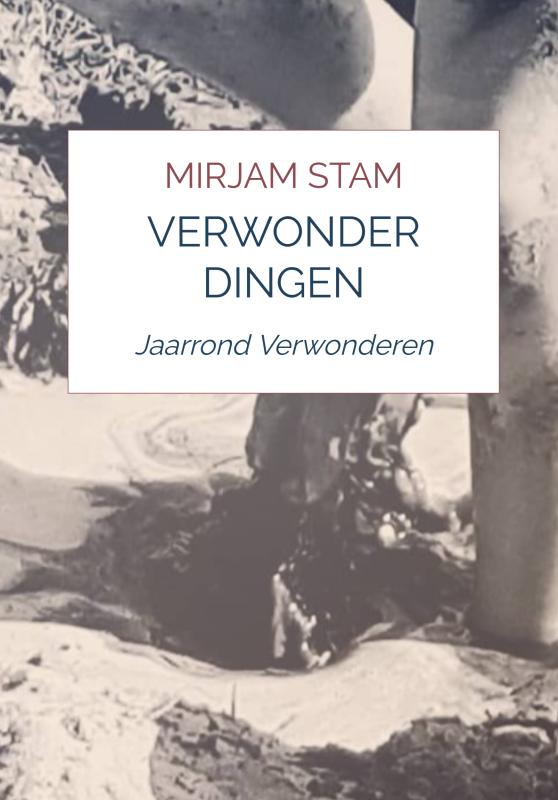 Omslag van Verwonderdingen