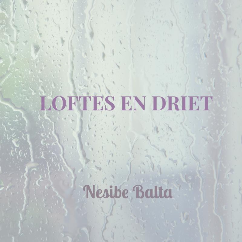 Omslag van Loftes en driet