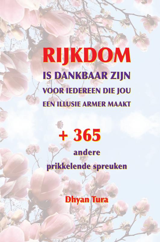 Omslag van RIJKDOM is dankbaar zijn voor iedereen die jou een illusie armer maakt