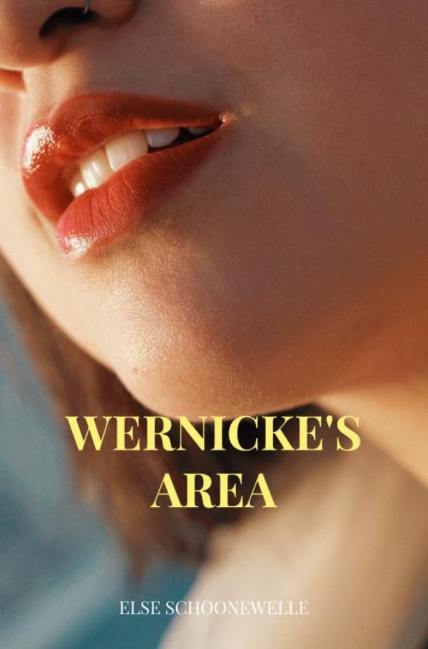 Omslag van Wernicke's area