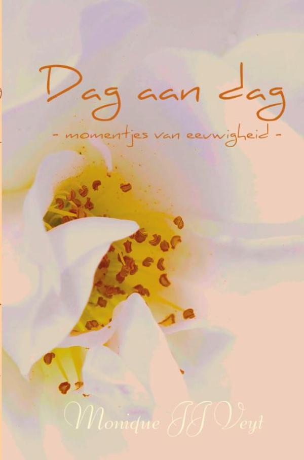 Omslag van Dag aan dag