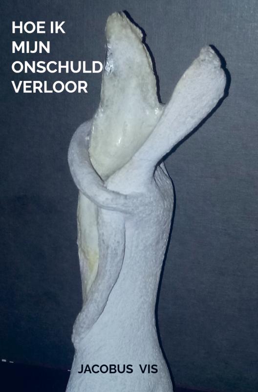 Omslag van Hoe ik mijn onschuld verloor
