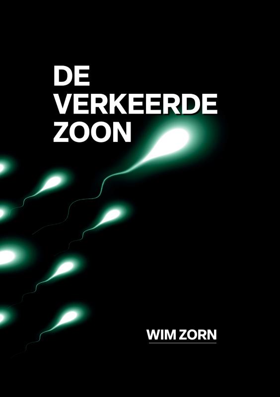 Omslag van DE VERKEERDE ZOON