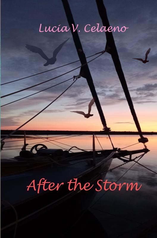 Omslag van After the Storm.