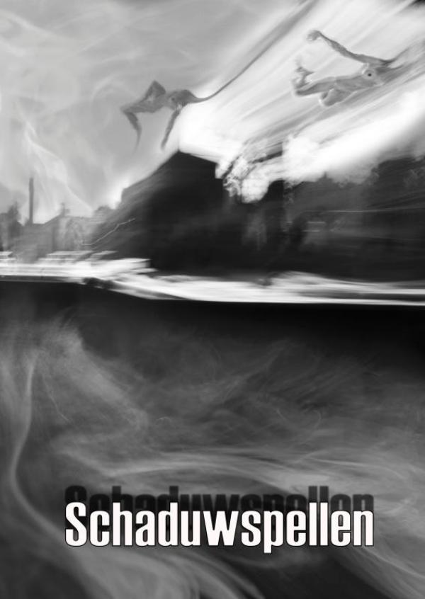 Omslag van Schaduwspellen