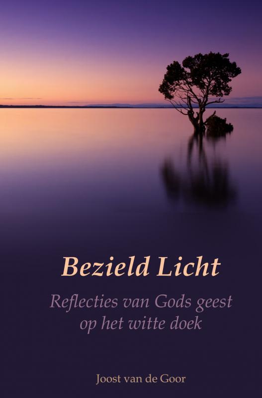 Omslag van Bezield Licht