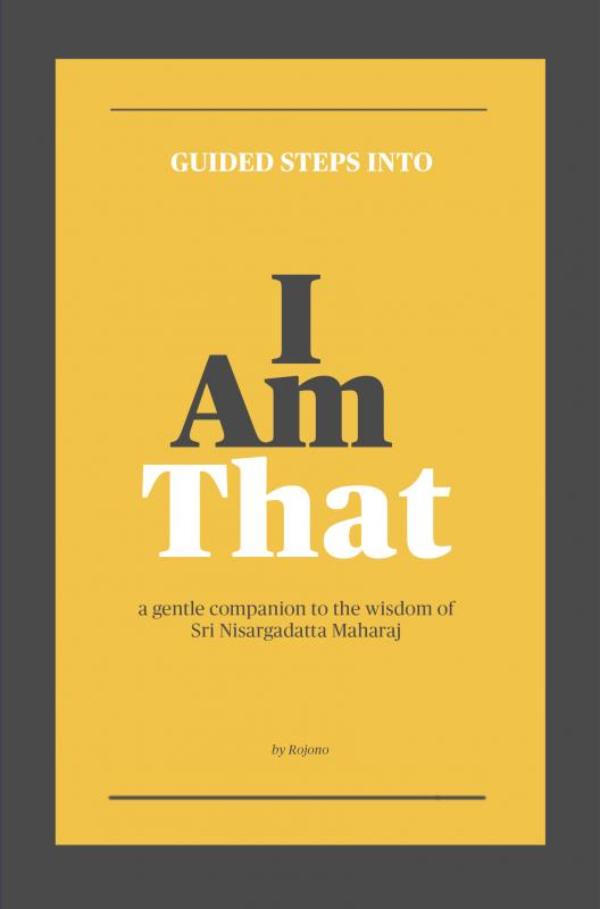 Omslag van Guided steps into 'I Am That"