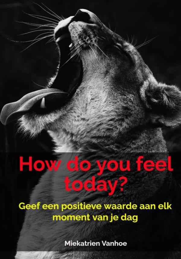 Omslag van How do you feel today?