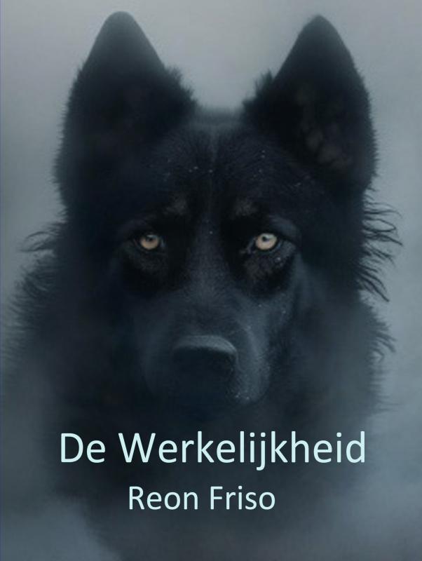 Omslag van De Werkelijkheid