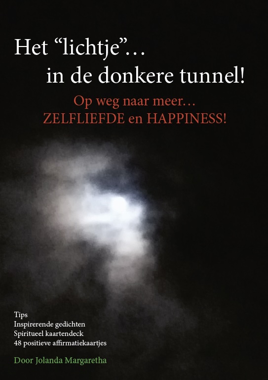 Omslag van Het lichtje… in de donkere tunnel!
