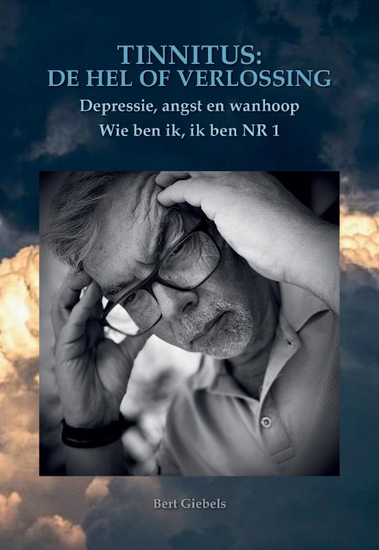 Omslag van Tinnitus de hel of verlossing