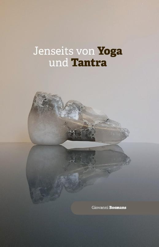 Omslag van Jenseits von Yoga und Tantra