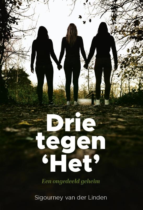 Omslag van Drie tegen ‘Het’