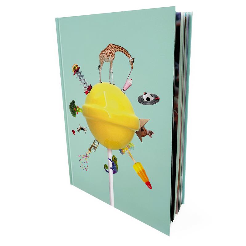Omslag van Het grote kijkboek