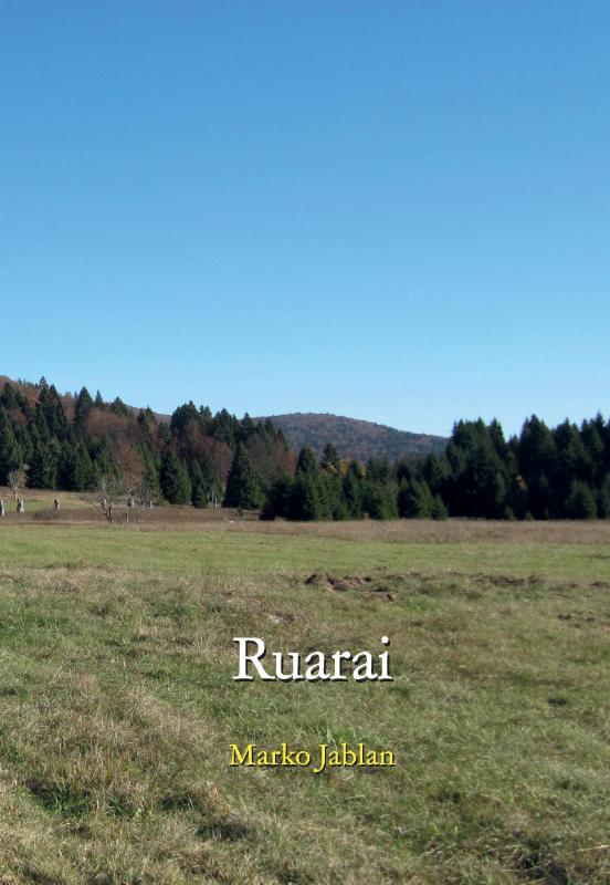 Omslag van Ruarai