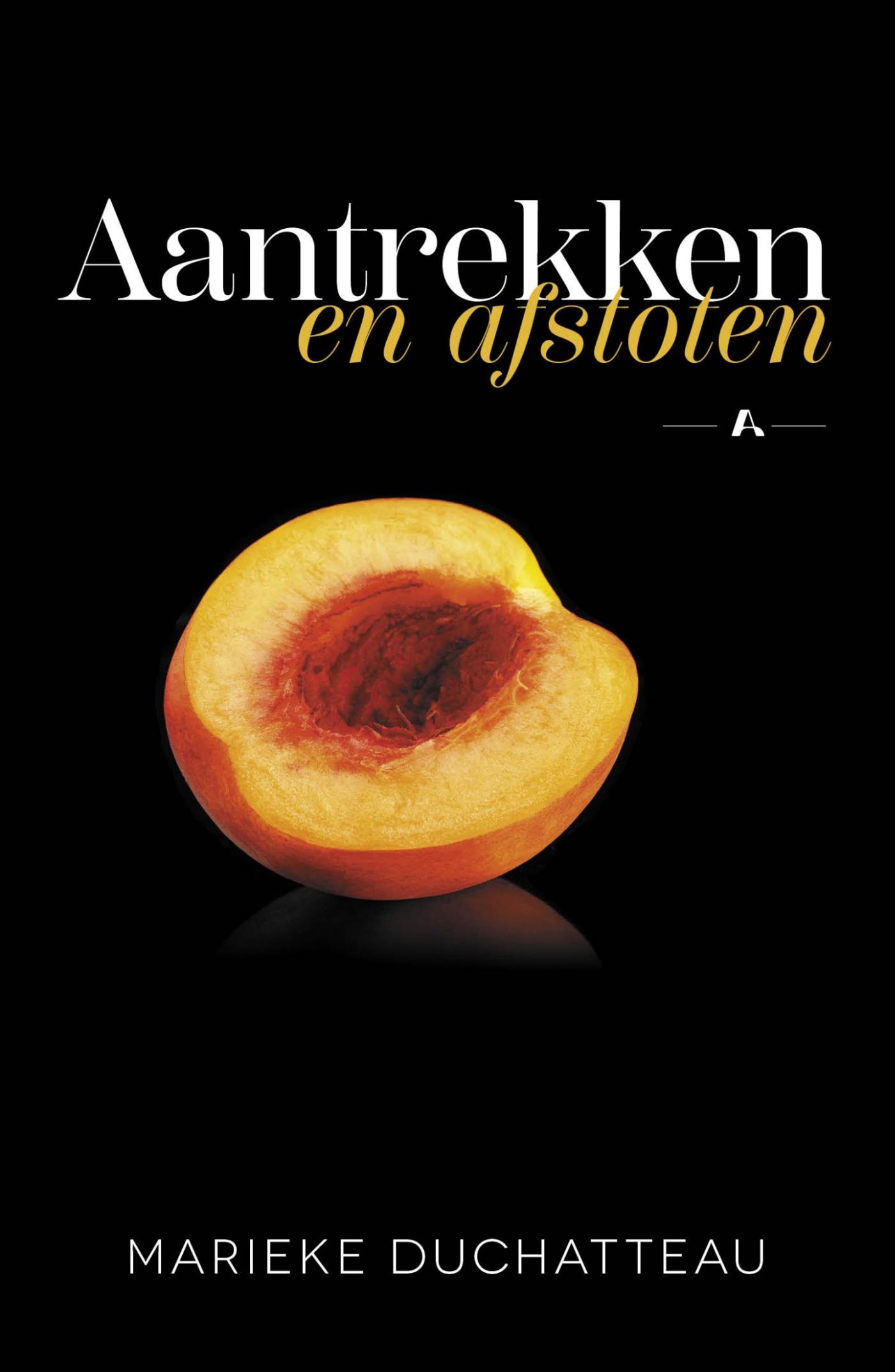 Omslag van Aantrekken en afstoten