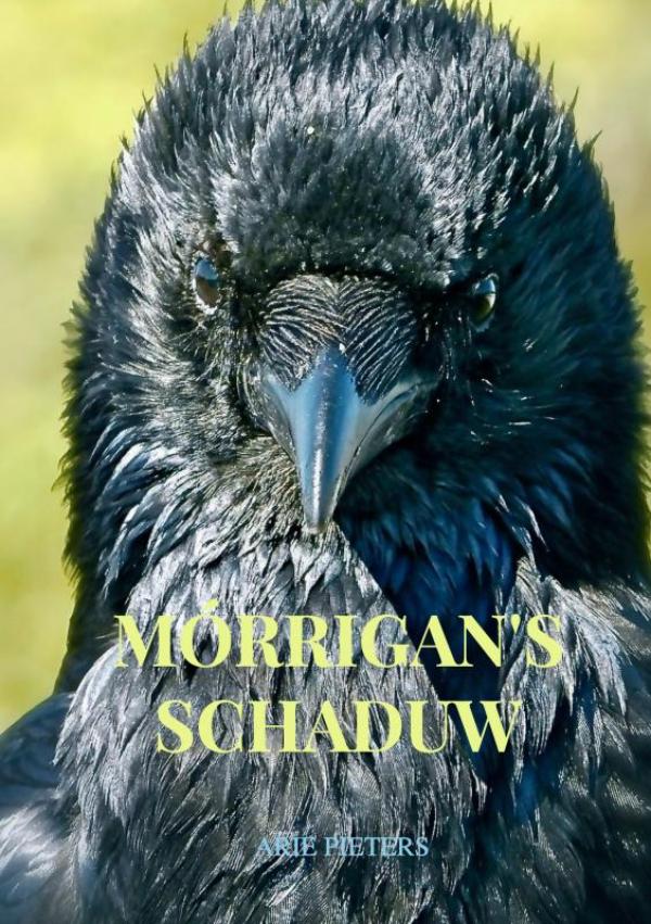 Omslag van Mórrigan's schaduw
