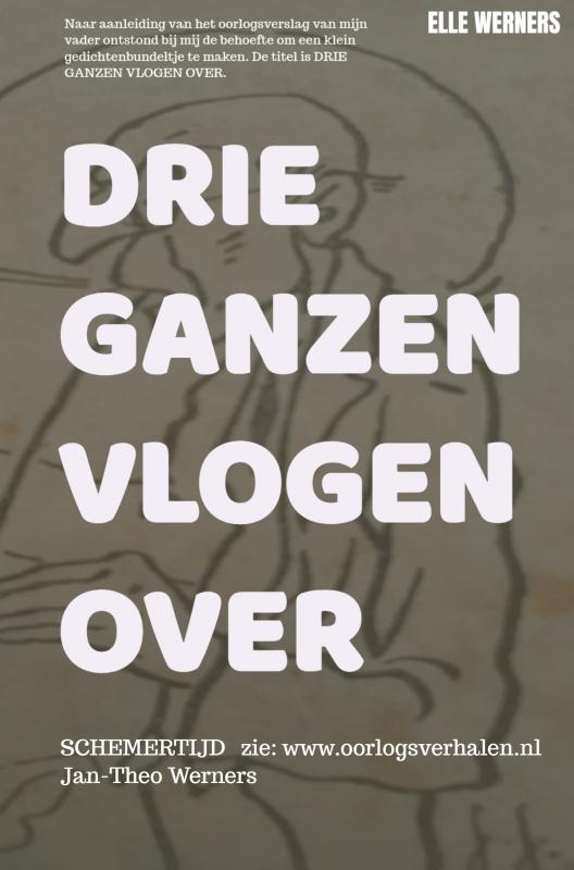 Omslag van DRIE GANZEN VLOGEN OVER