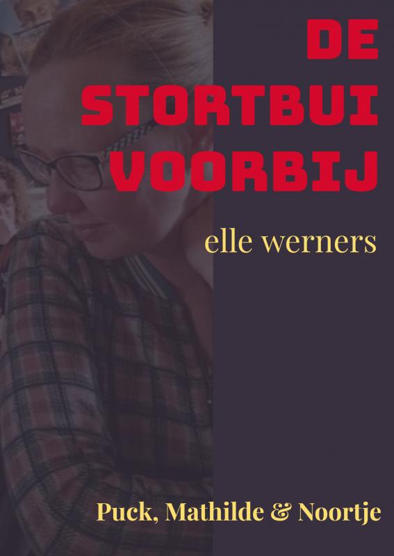 Omslag van DE STORTBUI VOORBIJ