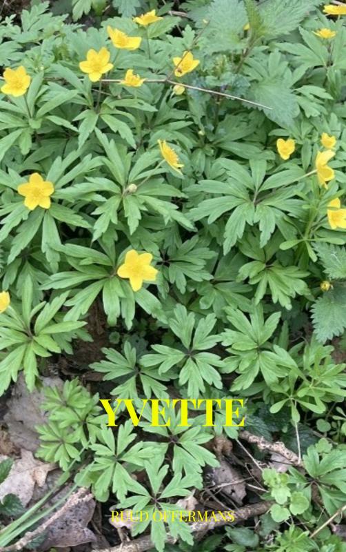 Omslag van Yvette