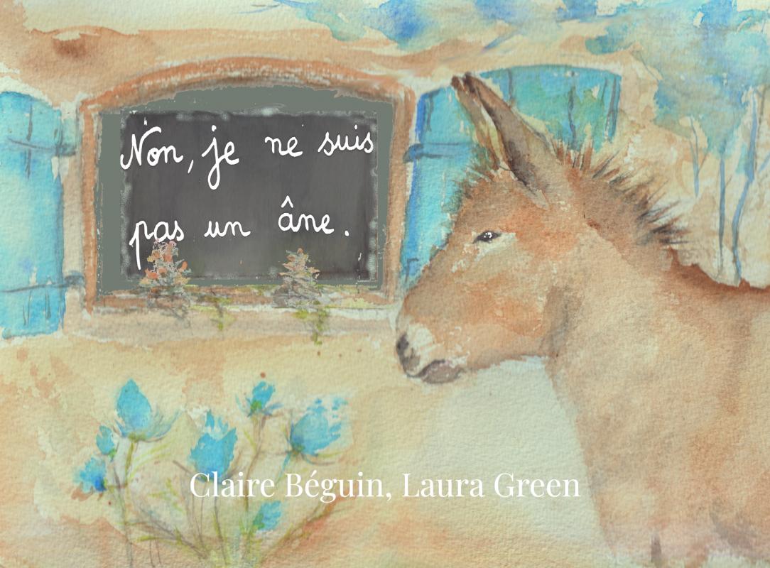 Omslag van Non je ne suis pas un âne